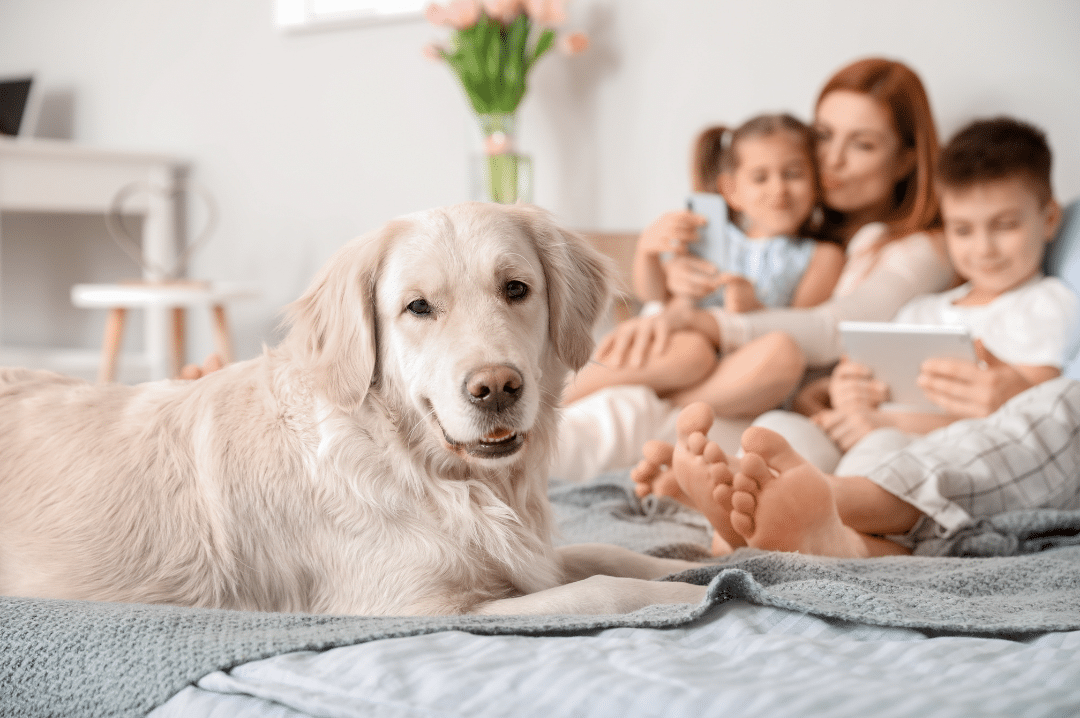 Family Image
